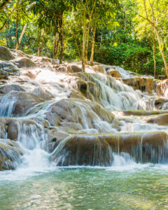 Waterfalls through the rain forest