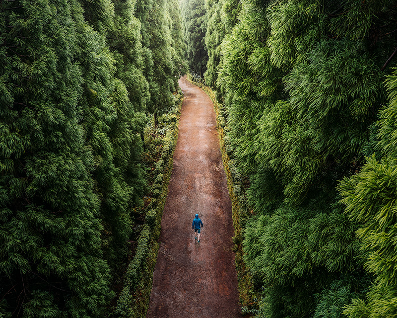 Overhead view of a person on a path through the woods